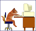 Cat busily typing at computer