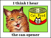 Cat With Can Opener