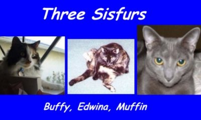 Three Sisfurs - have they looking fur Macbeth?