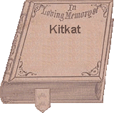 Memory Book fur Kitkat