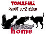 tomzrule home