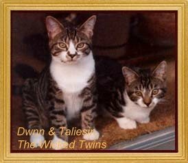 The Wicked Twins, looking so, so innocent!