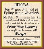 Freya's Ninja Certificate