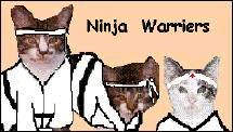 Ace Reporter Freya and Wicked Twins as Ninjas