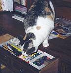 Freya snooping in desk