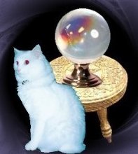 Ghost Kitty foto