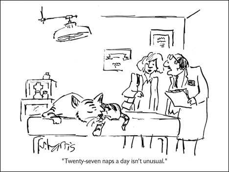 Cartoon about sleeping cats