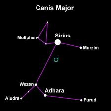 ksetch of constellation Canis Major