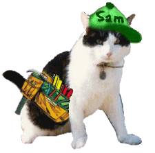Renowned Renovator, Sam da Man