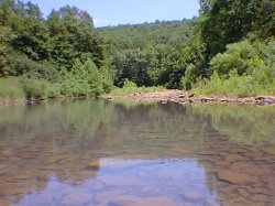 Restful image of Lake Seminole