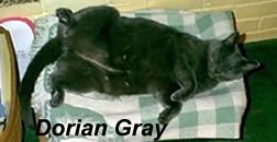 Dorian Gray