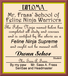 Dwnn's Diploma