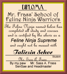 Taliesin's Diploma