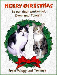 Christmas card from Widgy and Tommye